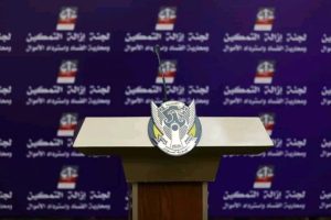 الورشة الخاصة بتفكيك نظام الـ30 من يونيو تواصل أعمالها لليوم الثاني على التوالي